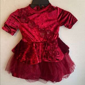 Disney belle Princess burgundy Velvet Dress